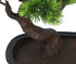 Kopu® Kunstpflanze Bonsai 40 cm Kiefer mit schwarzem Topf – Bonsai-Baum