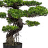 90 cm Kopu kunstmatige ceder bonsai boom met zwarte pot - Bonsai boom
