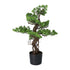 Kopu® Kunstplant Bonsai 65 cm - in zwarte Pot - Bonsai boompje