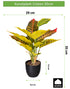 Kopu® 2 stuks Kunstplant Croton 35 cm - 14 bladeren - in zwarte pot