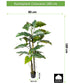 Kopu® Kunstplant Colocasia 180 cm - 19 bladeren - in zwarte pot