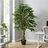 Kopu® Kunstplant Ficus 180 cm in pot met Natuurstam