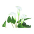 Kopu® 2 Stück Calla Kunstpflanze 44 cm – Zantedeschia Kannenpflanze Weiß