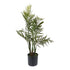 Kopu® Kunstplant Bergpalm 65 cm 3 stammen - in zwarte pot - Nepplant