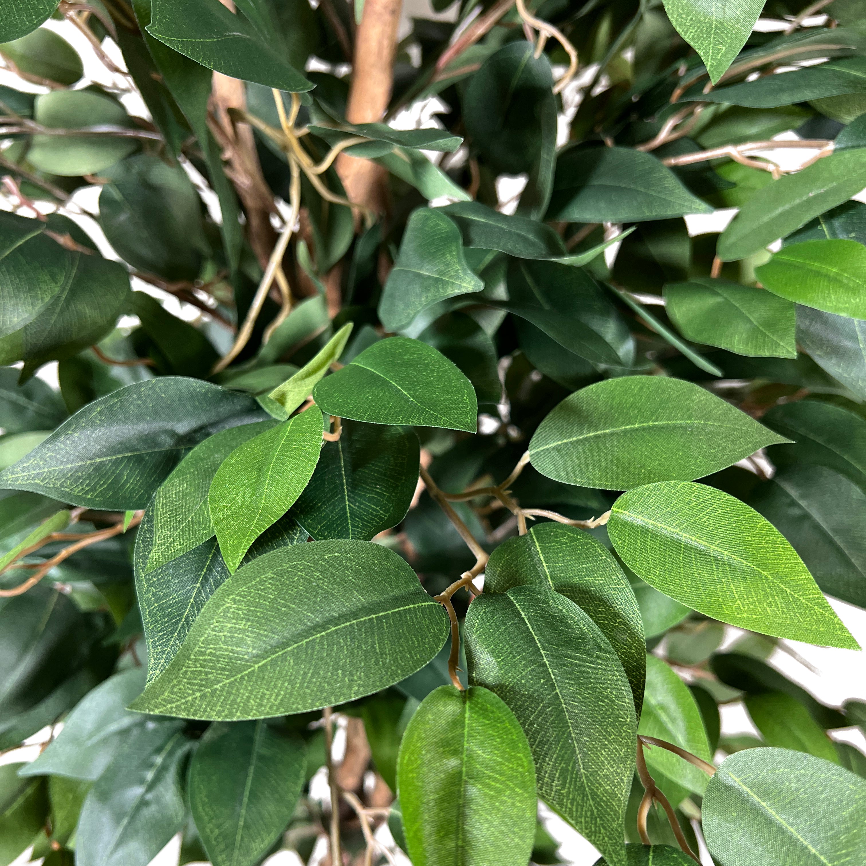 Kopu® Kunstplant Ficus 150 cm in pot - 840 bladeren met Natuurstam