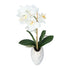 Kopu® Kunstplant Orchidee 33 cm in witte Sierpot 13x9cm - Wit