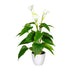 Kopu® 2 Stück Calla Kunstpflanze 44 cm – Zantedeschia Kannenpflanze Weiß