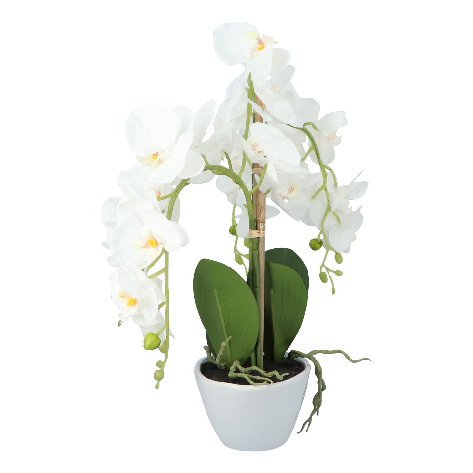 Kopu® Kunstbloem Orchidee 53 cm Wit met Schaal Ovaal - Phalenopsis