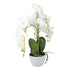 Kopu® Kunstbloem Orchidee 53 cm Wit met Schaal Ovaal - Phalenopsis