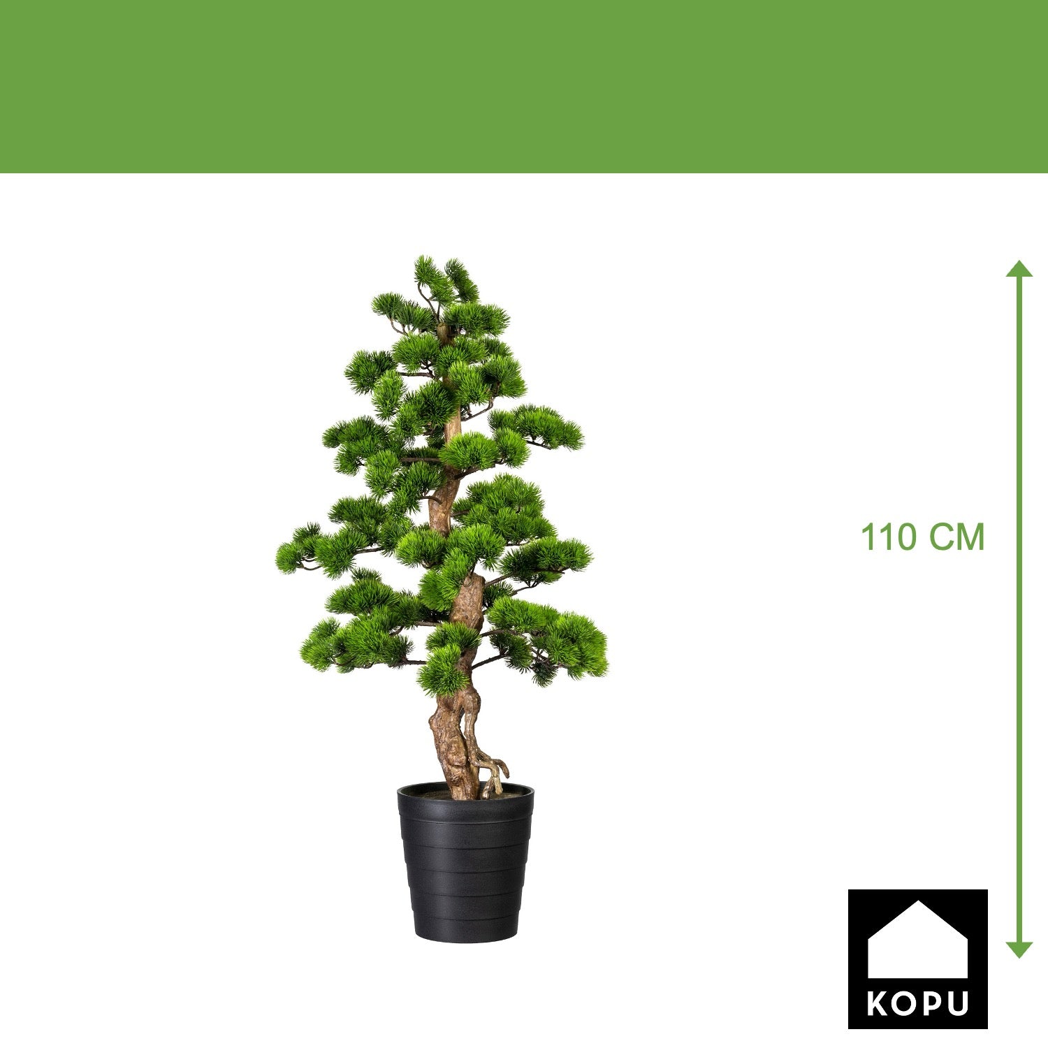 Kopu bonsai (den) - circa 110 x 50 cm - in een zwarte plastic pot