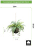 Kopu® Kunstplant BOL met diverse Varen Hangplanten 25 cm - Groen