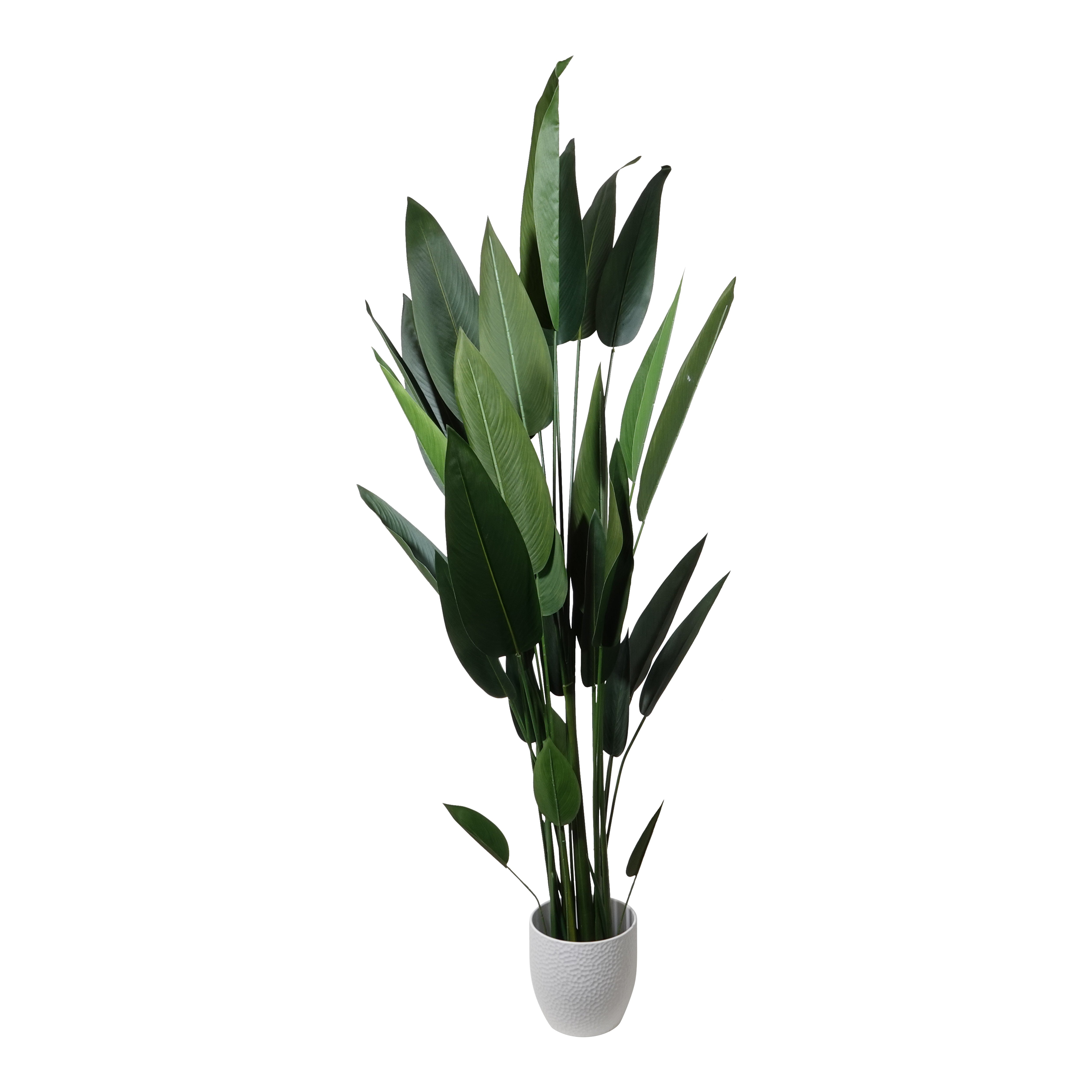 Kopu® Kunstpflanze Canna 210 cm 32 Blätter - im schwarzen Topf - Blumenschilf