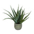 Kopu Kunstplant Aloe Vera 48 cm in binnenpot met aarde - 30 bladeren