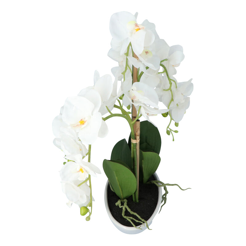 Kopu® Kunstbloem Orchidee 53 cm Wit met Schaal Ovaal - Phalenopsis