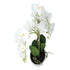 Kopu® Kunstbloem Orchidee 53 cm Wit met Schaal Ovaal - Phalenopsis