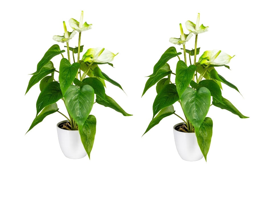 Kopu® 2 Stück Anthurium Weiße Kunstpflanze 40 cm – Flamingopflanze Weiß