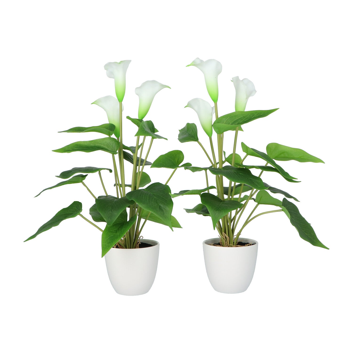 Kopu® 2 Stück Calla Kunstpflanze 44 cm – Zantedeschia Kannenpflanze Weiß