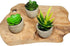 GreenDream® 3 stuks Kunstplanten - Nep planten Vetplanten - Cadeautip