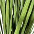 Kopu® Kunstplant Chinees Riet 90 cm - 3 pluimen - in zwarte pot