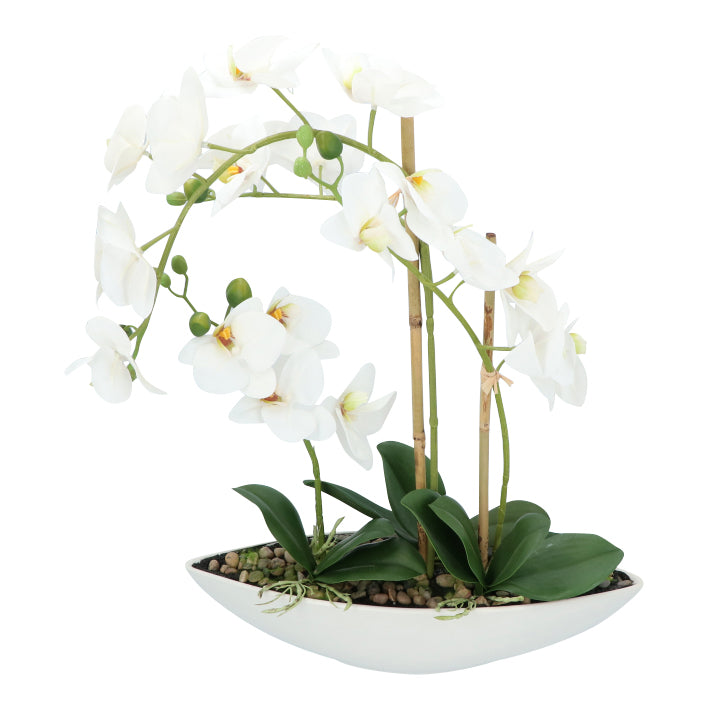 Kopu® Kunstblume Orchidee 60 cm weiß mit Schale oval - Phalenopsis