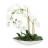 Kopu® Kunstblume Orchidee 60 cm weiß mit Schale oval - Phalenopsis