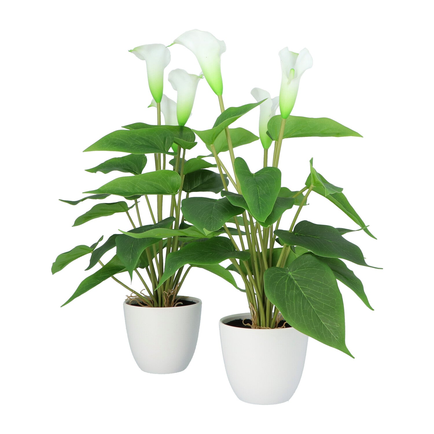 Kopu® 2 Stück Calla Kunstpflanze 44 cm – Zantedeschia Kannenpflanze Weiß
