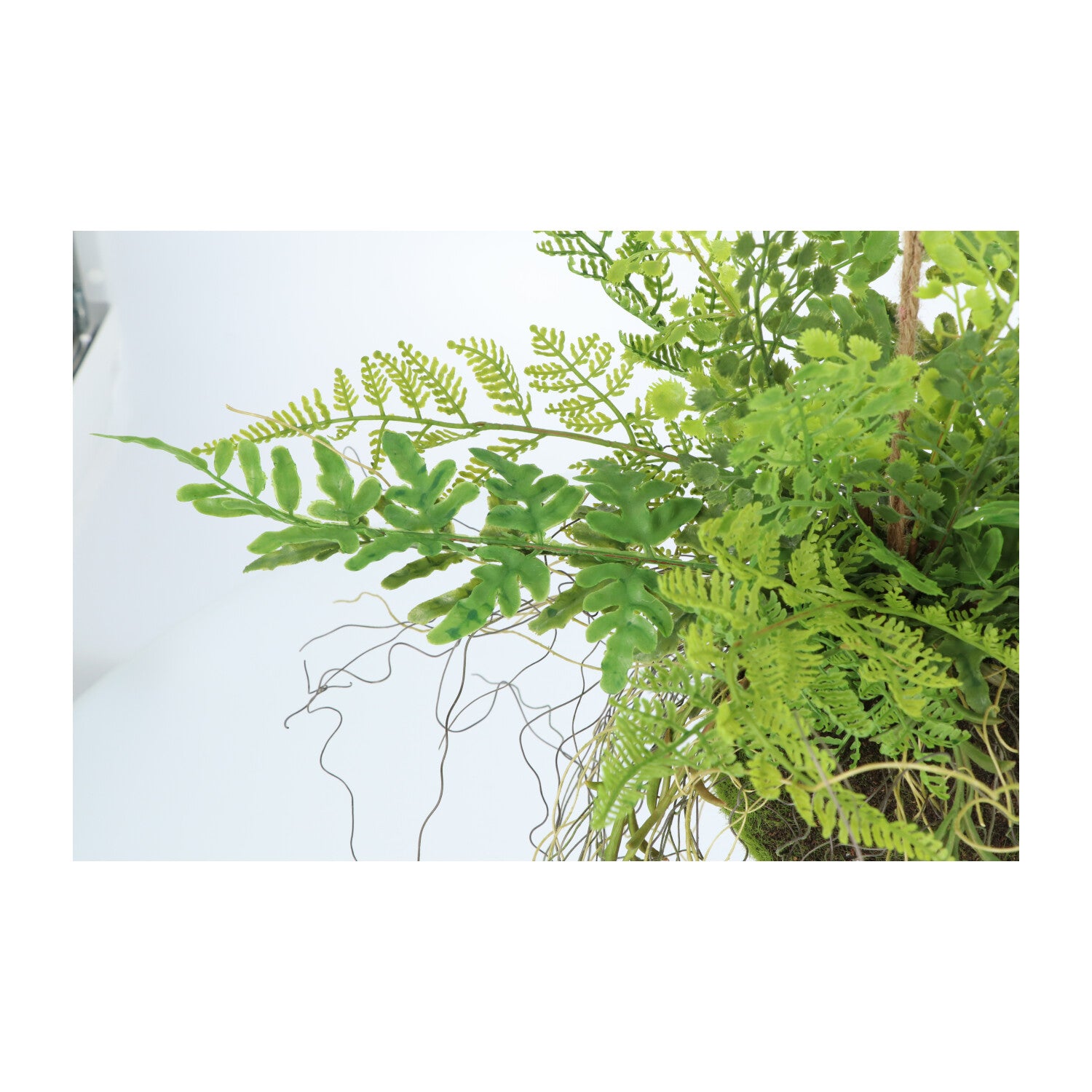 Kopu® Kunstplant BOL met diverse Varen Hangplanten 25 cm - Groen