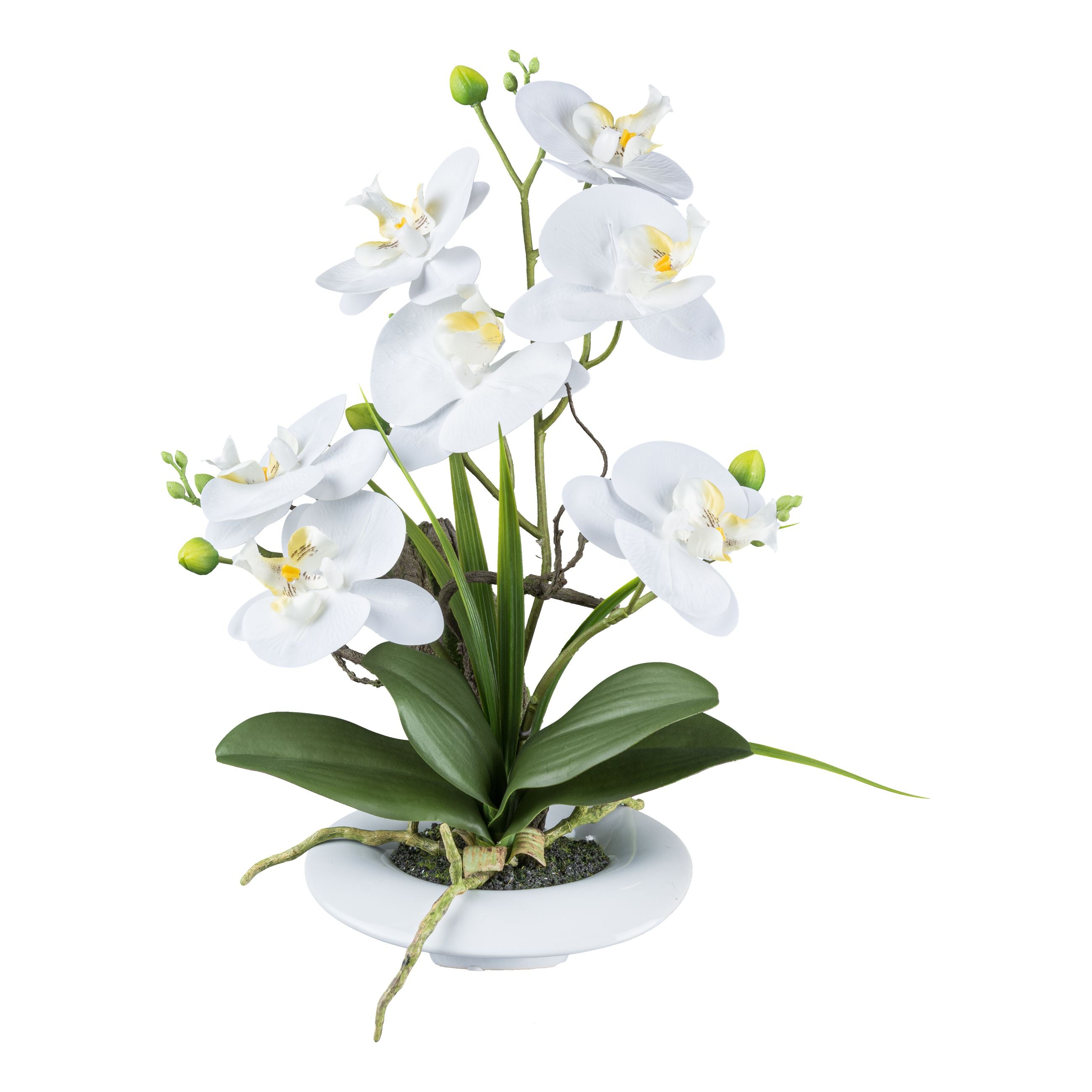 Kopu® Kunstbloem Orchidee 41 cm Wit met Bloemschaal - Phalaenopsis