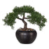 Kopu kunstmatige ceder bonsai, 26 cm hoog, met zwarte pot - Bonsaiboom