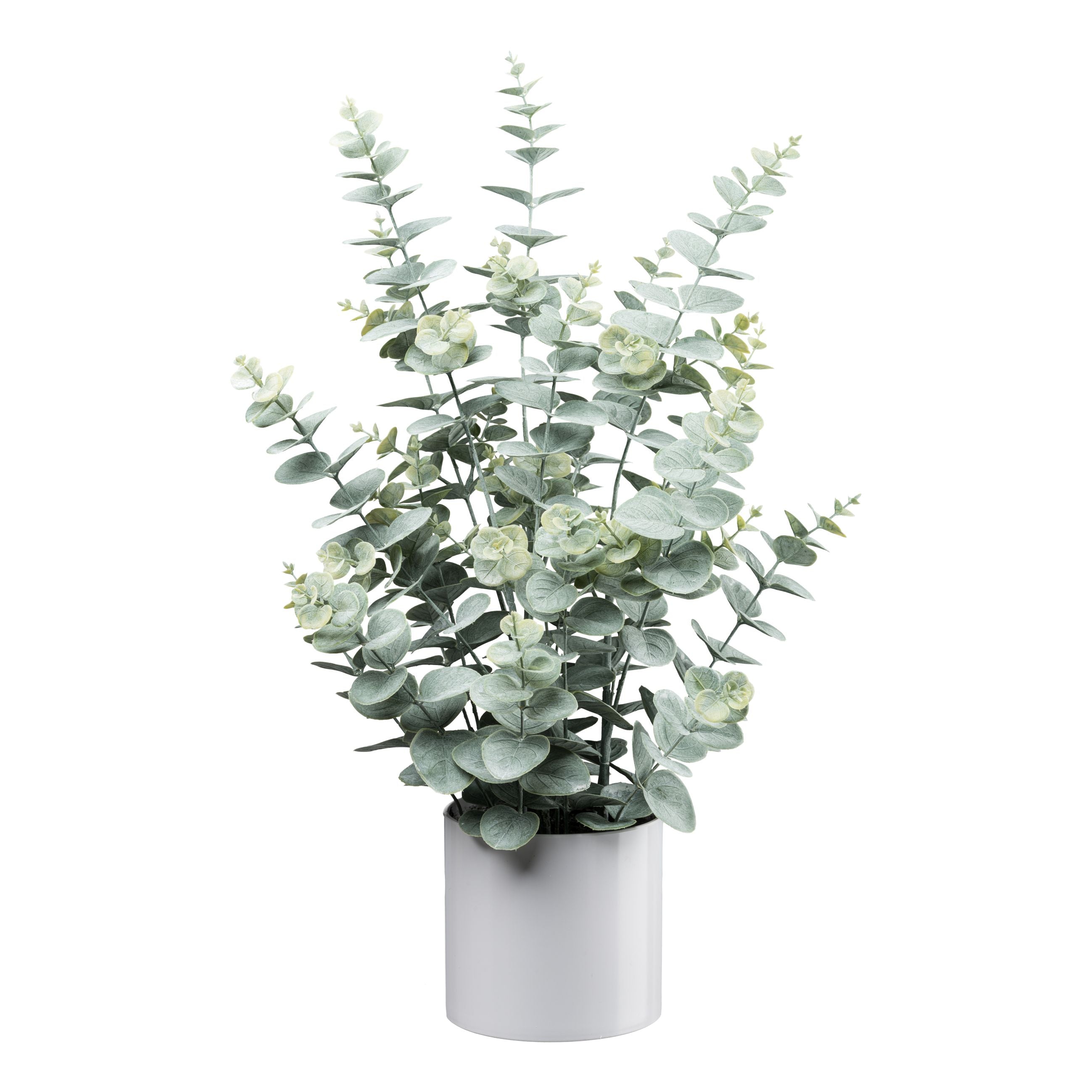 Kopu® Kunstplant Eucalyptus 66 cm in grijze Pot - Groen/Grijs blad