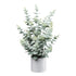 Kopu® Kunstplant Eucalyptus 66 cm in grijze Pot - Groen/Grijs blad