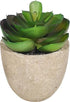 GreenDream® 3 stuks Kunstplanten - Nep planten Vetplanten - Cadeautip