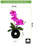 Kopu® Künstliche Blume Flieder-Orchidee 35 cm in schwarzer Vase – Phalenopsis