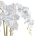 Kopu® Kunstbloem Orchidee 62 cm Wit met witte Pot - Phalenopsis