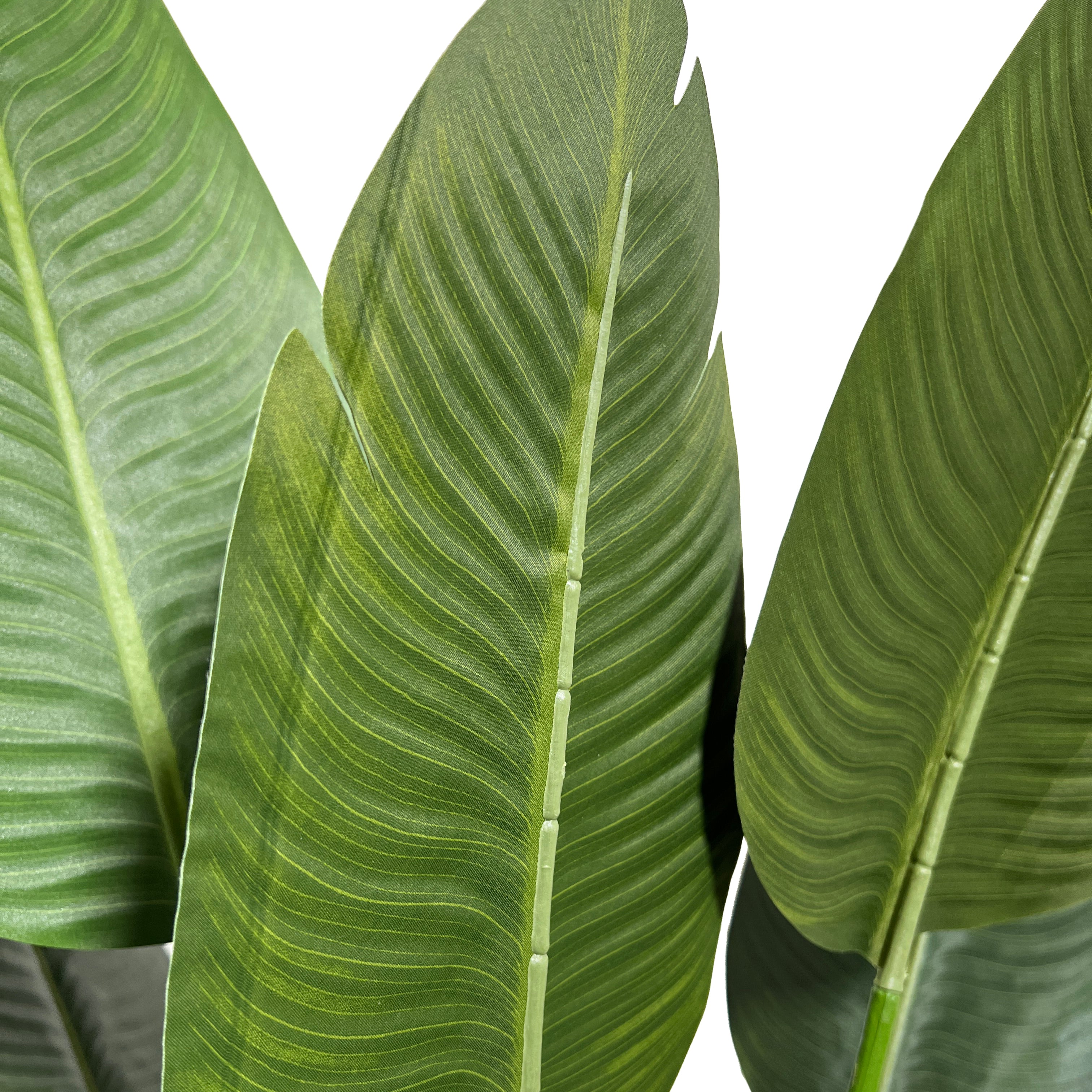 Kopu® Kunstpflanze Strelitzia Nicolai 120 cm – Paradiesvogelpflanze 8 Blätter