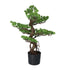 Kopu® Kunstplant Bonsai 65 cm - in zwarte Pot - Bonsai boompje