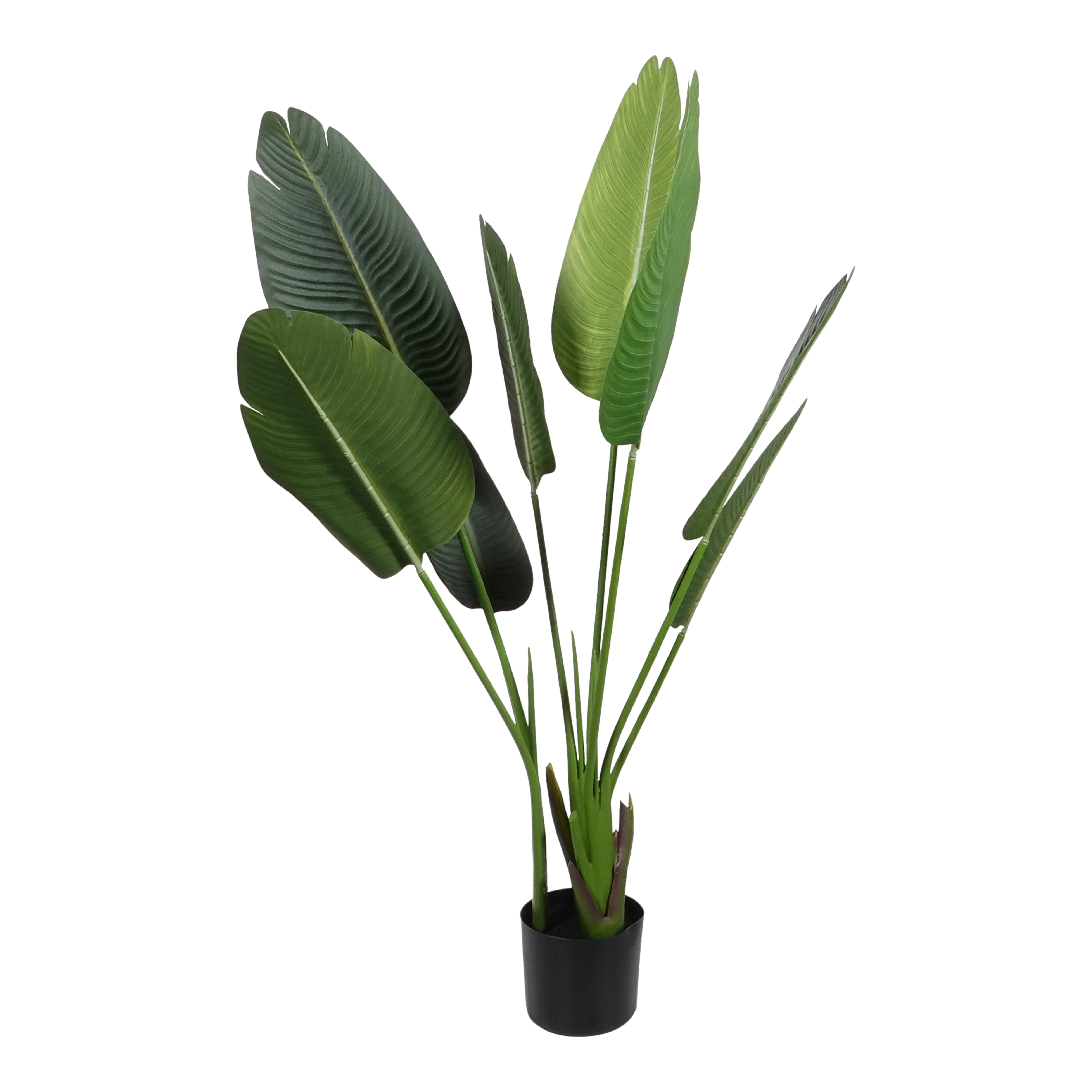 Kopu® Kunstpflanze Strelitzia Nicolai 120 cm – Paradiesvogelpflanze 8 Blätter