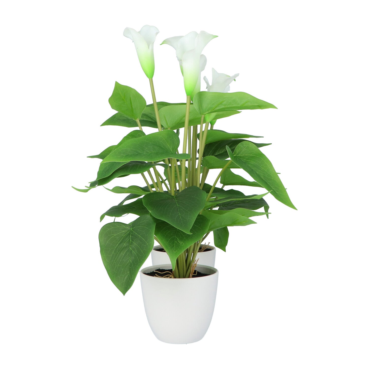 Kopu® 2 Stück Calla Kunstpflanze 44 cm – Zantedeschia Kannenpflanze Weiß