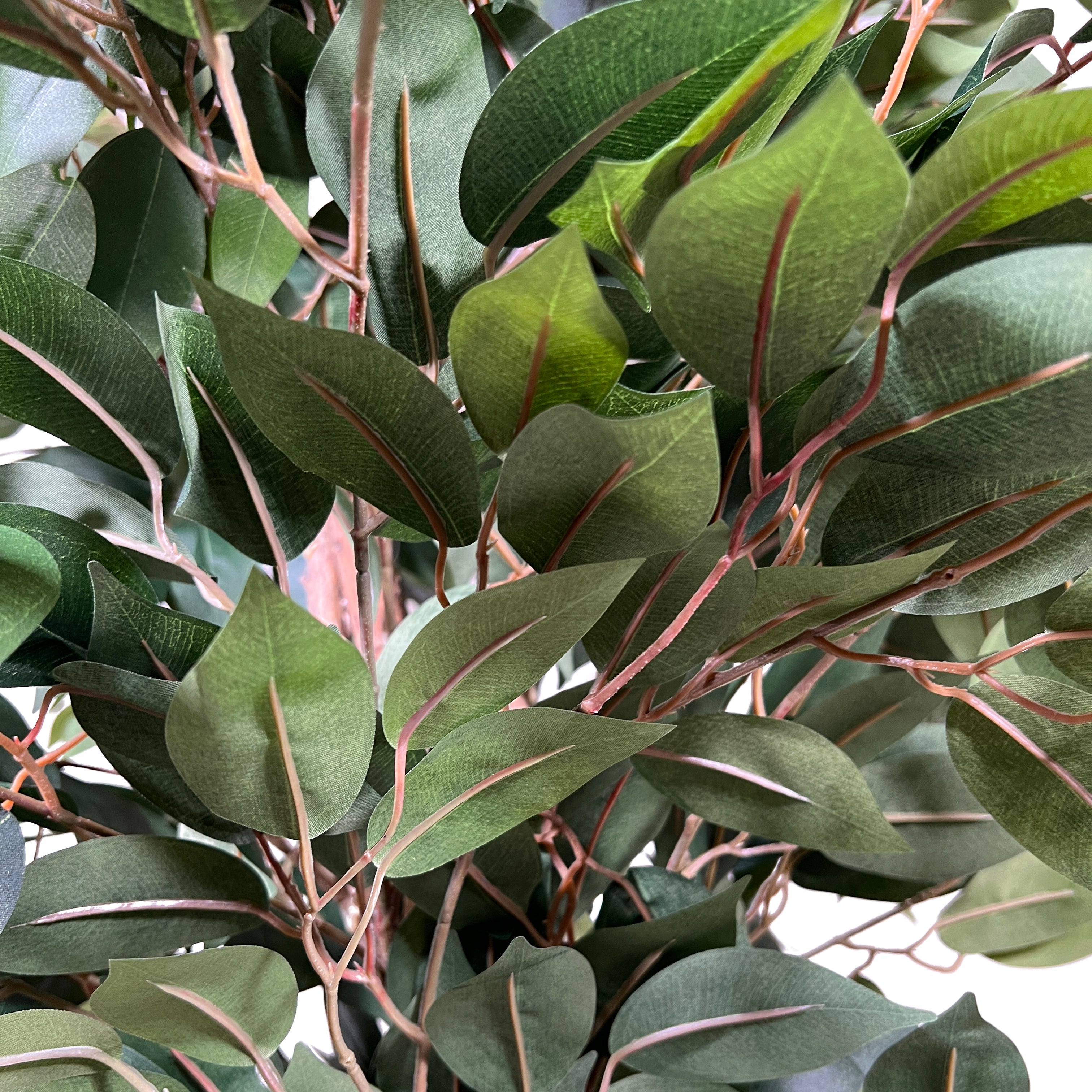 Kopu® Kunstplant Ficus 150 cm in pot - 840 bladeren met Natuurstam