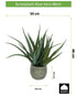 Kopu® Kunstplant Aloe Vera 48 cm in binnenpot met aarde - 30 bladeren