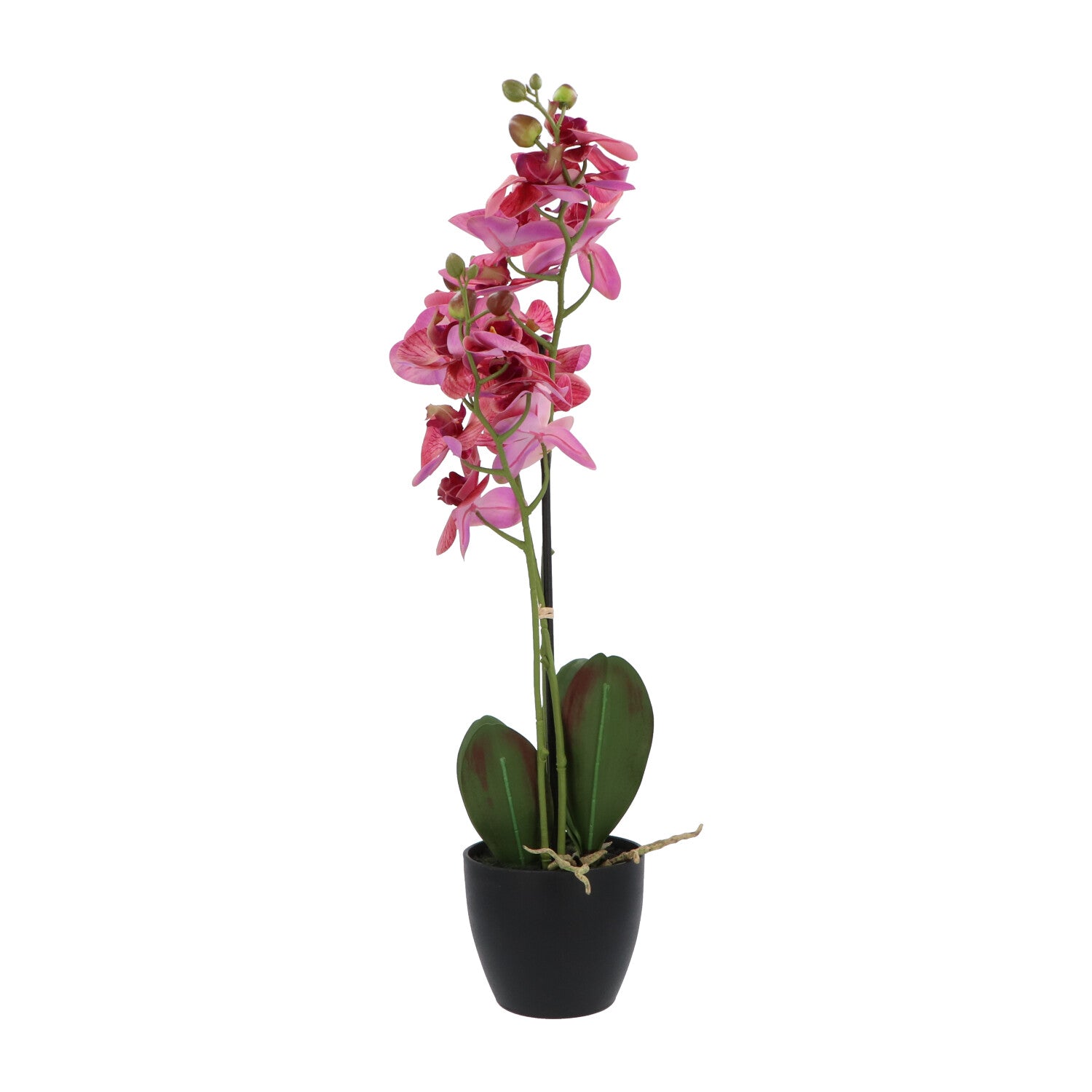 Kopu® Künstliche Blumenorchidee 65 cm Flieder mit schwarzem Dekotopf - Phalenopsis