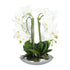 Kopu® Kunstplant Orchidee 4 takken 41cm in Zilveren Schaal  - Wit