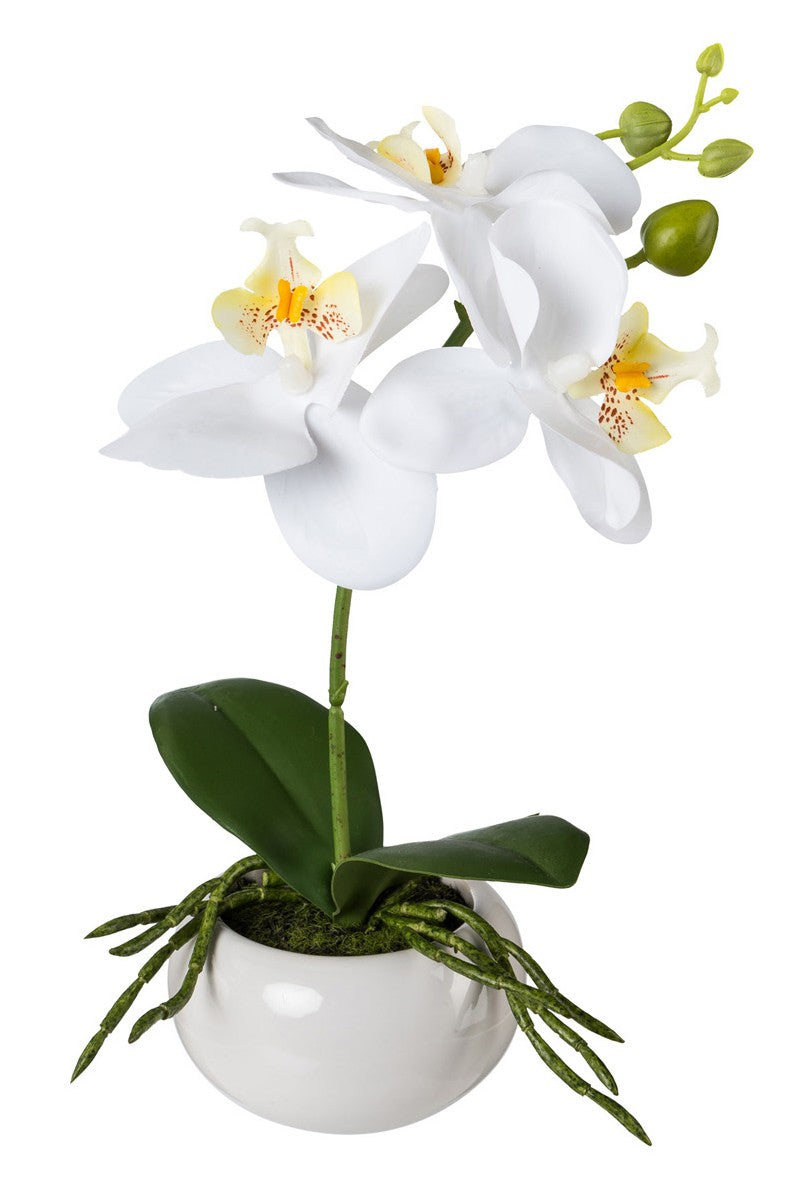 Kopu® Set 2 stuks Mini Kunstplant Orchidee 27 cm in witte Sierpot - Wit