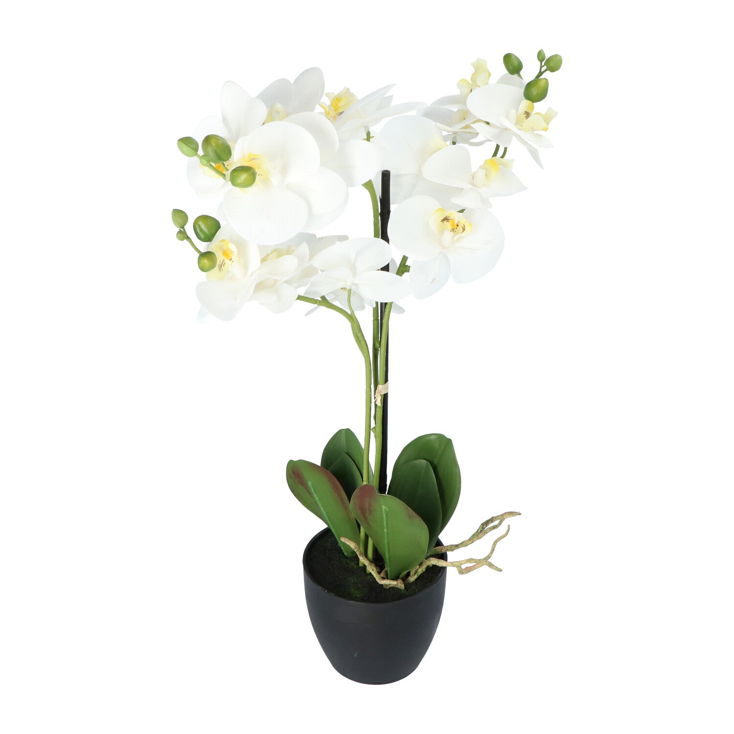 Kopu® Kunstbloem Orchidee 69 cm Wit met zwarte Pot - Phalenopsis