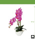 Kopu® Kunstbloem Orchidee 50 cm Paars met cement Sierpot - Phalenopsis