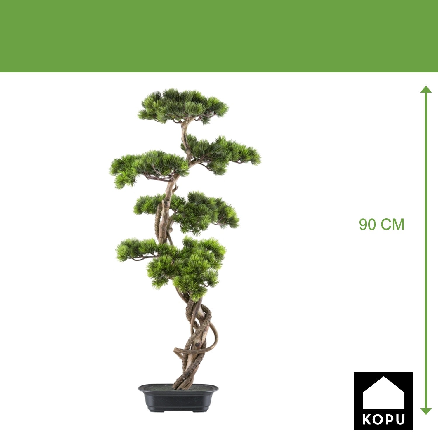 Kopu (den) bonsai, circa 90 x 40 cm - in een zwarte plastic pot