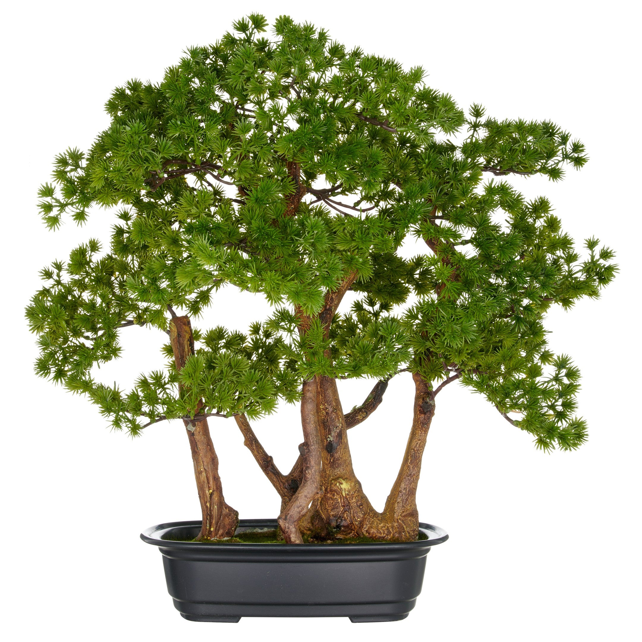 Kunstmatige bonsai van Kopu, gemaakt van larikshout, 53 cm hoog, met zwarte pot - Bonsaiboom