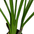 Kopu® Kunstpflanze Strelitzia Nicolai 120 cm – Paradiesvogelpflanze 8 Blätter