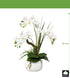 Kopu® Kunstbloem Orchidee 46 cm Wit met Bloempot - Phalaenopsis