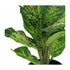 Kopu® set 3 verschillende kunstplantjes 25 cm hoog